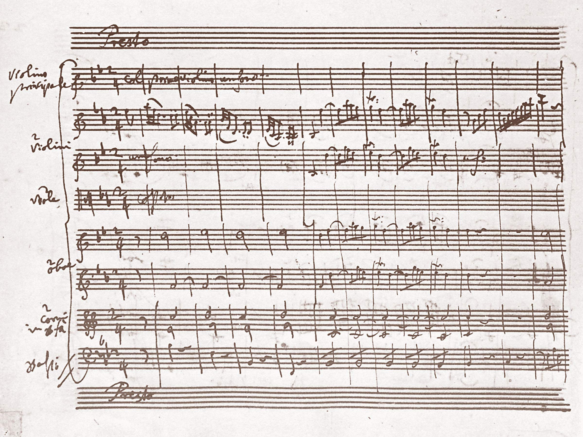 Mozart: Mozart's Violon Concerti