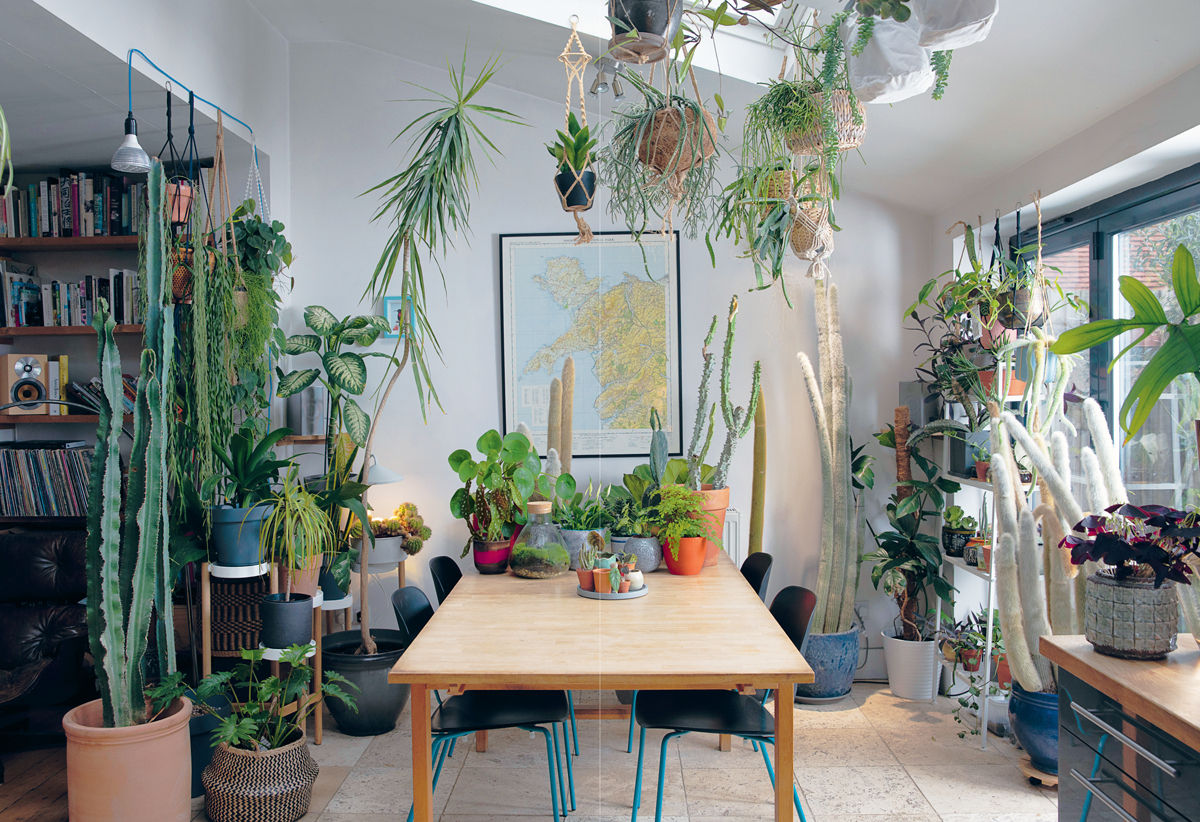 Plant Rescuer