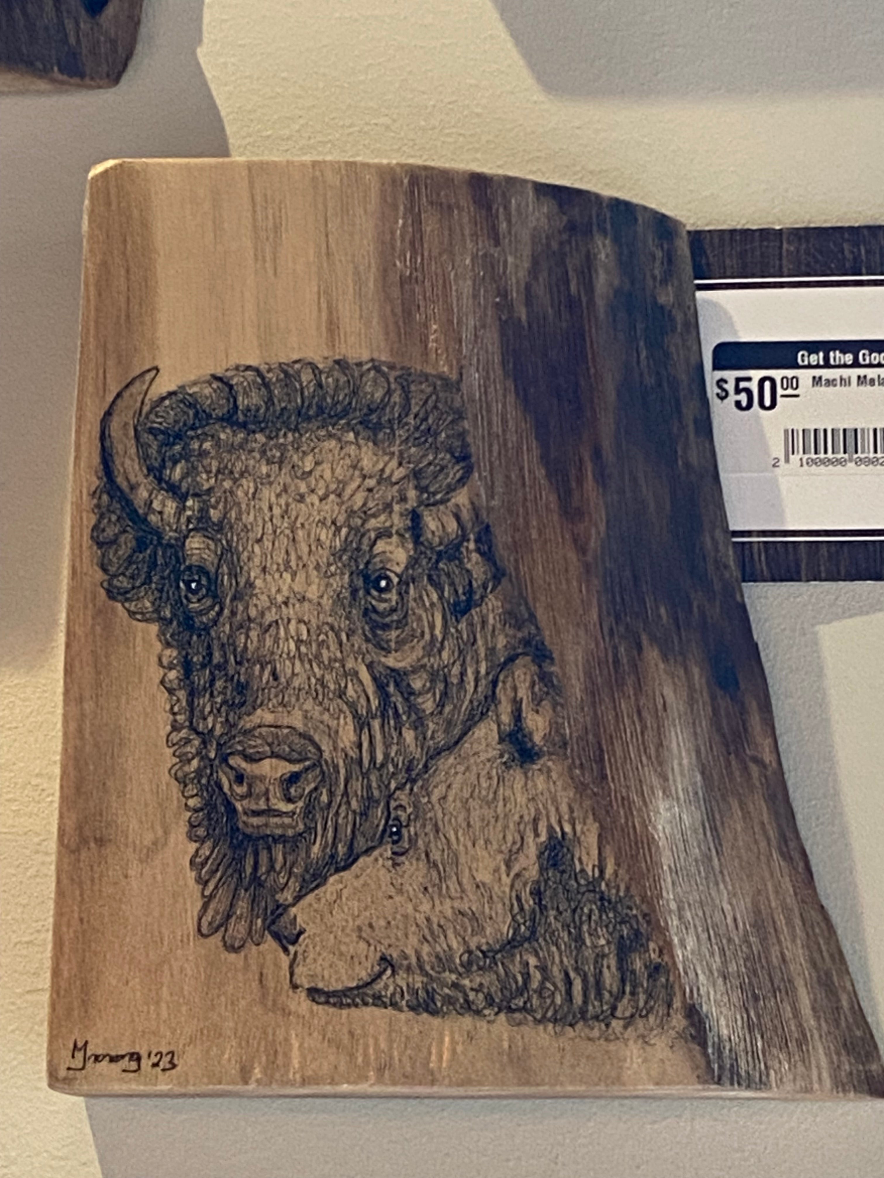 Machi Mela Bison