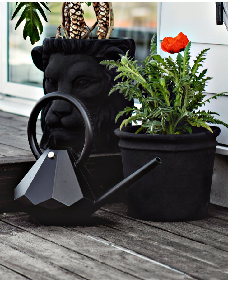 Garden Glory Watering Can LG Onyx