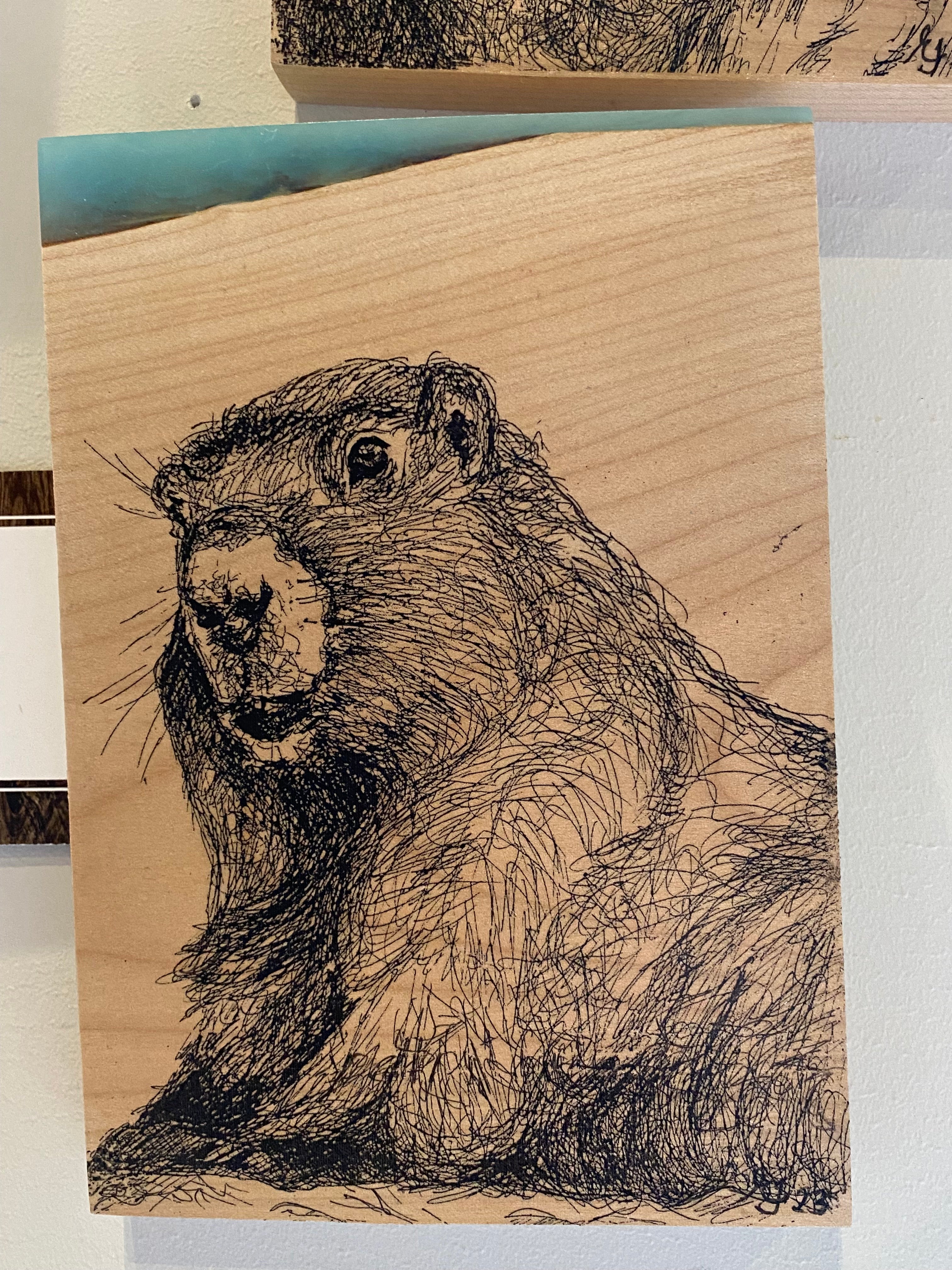 Machi Mela Alpine Marmot Epoxy