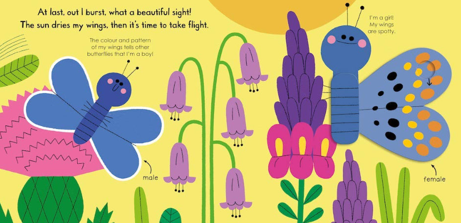 My Little Green World: Butterfly