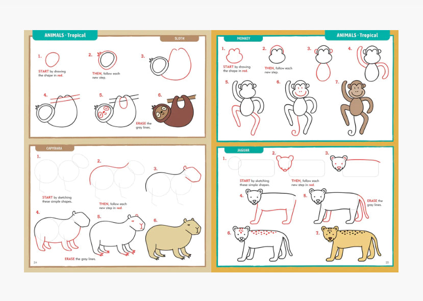 Learn to Draw Everything